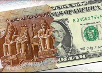 استقرار سعر الدولار أمام الجنيه