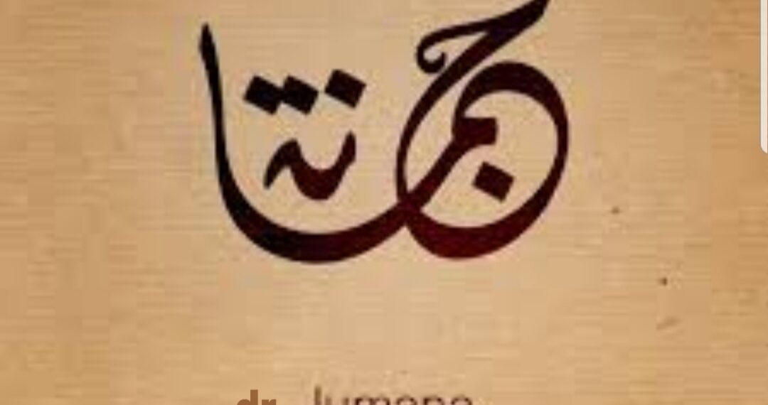 د. جمانة السرحان تكتب: بروتوكول الخالة