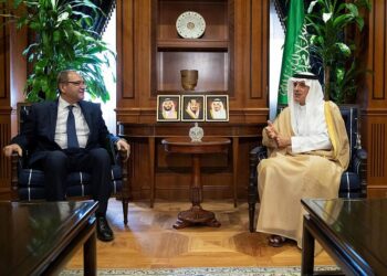 وزير الدولة للشئون الخارجية يستقبل سفير مصر لدى السعودية