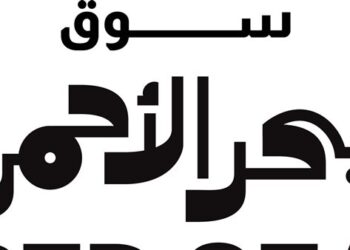 اختيار 23 مشروعًا و6 أفلام قيد الإنجاز للمشاركة فى الدورة الثانية لسوق البحر الأحمر الفنى