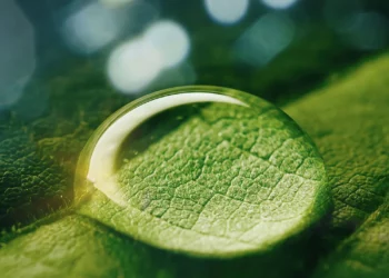 سامح محروس يكتب: مبادرة السعودية الخضراء واجهة حضارية لحماية التنوع البيولوجى فى المناطق البرية والبحرية