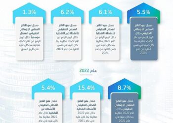 الاقتصاد السعودي يتجاوز تقديرات المنظمات الدولية ويحقق أعلى نمو بين دول G20 بنسبة 8.7%