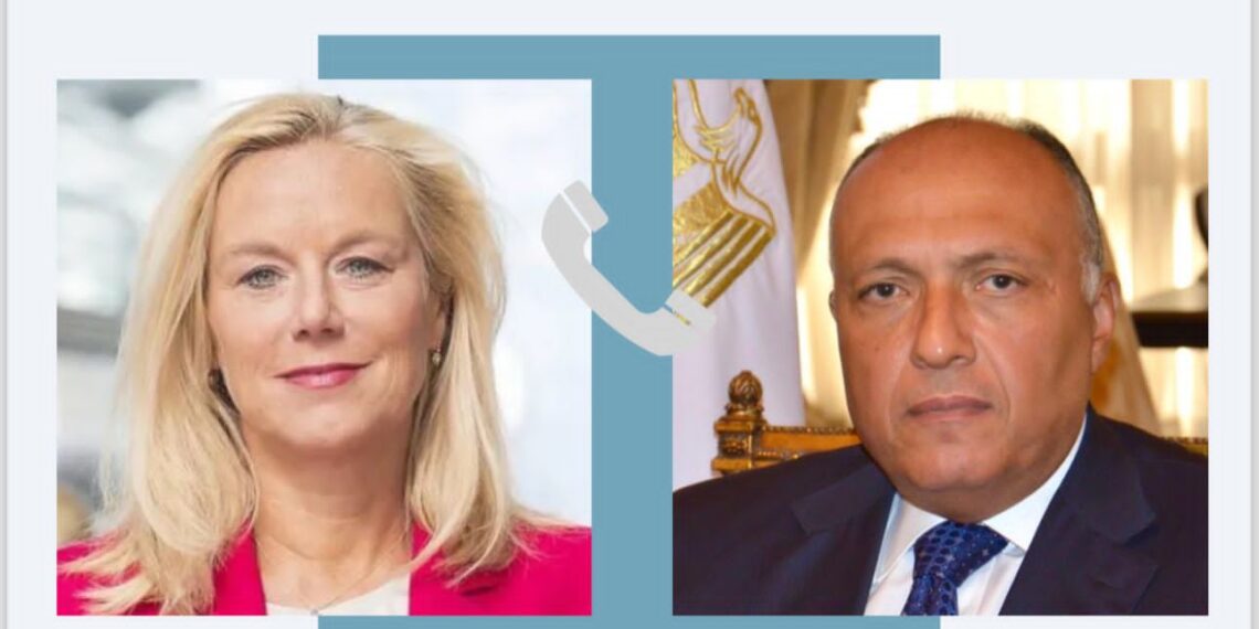 شكرى يبحث مع كبيرة منسقى الأمم المتحدة جهود تعجيل إدخال المساعدات لغزة