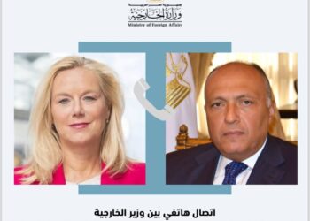 شكرى يبحث مع كبيرة منسقى الأمم المتحدة جهود تعجيل إدخال المساعدات لغزة