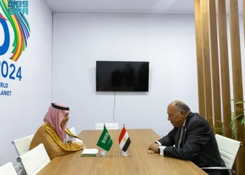 وزيرا خارجية مصر والسعودية يبحثان آخر المستجدات
