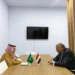 وزيرا خارجية مصر والسعودية يبحثان آخر المستجدات