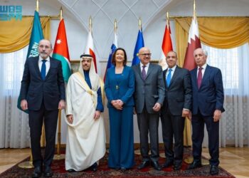 وزراء خارجية مصر والسعودية والأردن والبحرين وقطر يبحثون تطورات غزة ودعم حل الدولتين